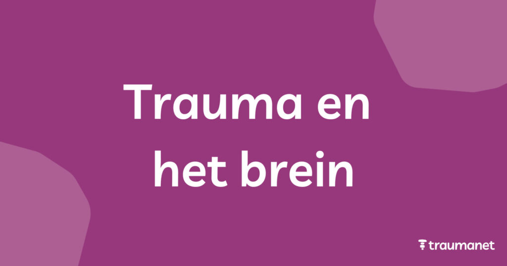 Trauma en het brein