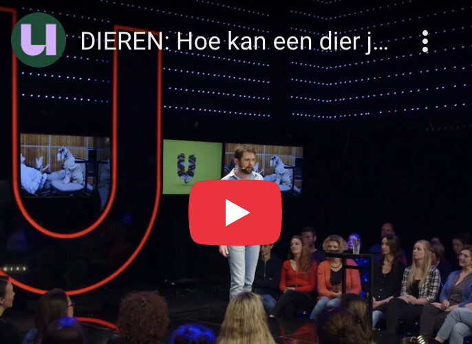 hoe kan een dier jouw dokter zijn?