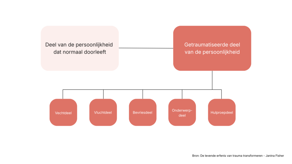 structurele dissociatiemodel
