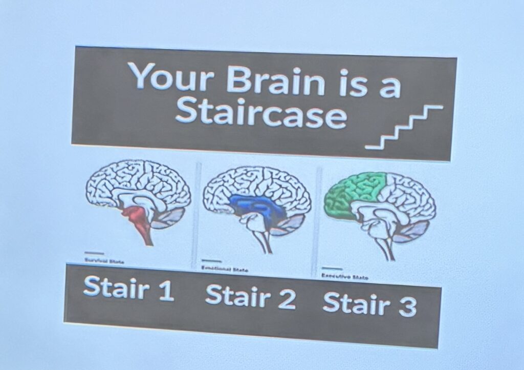 brain is a staircase
